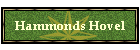 Hammonds Hovel